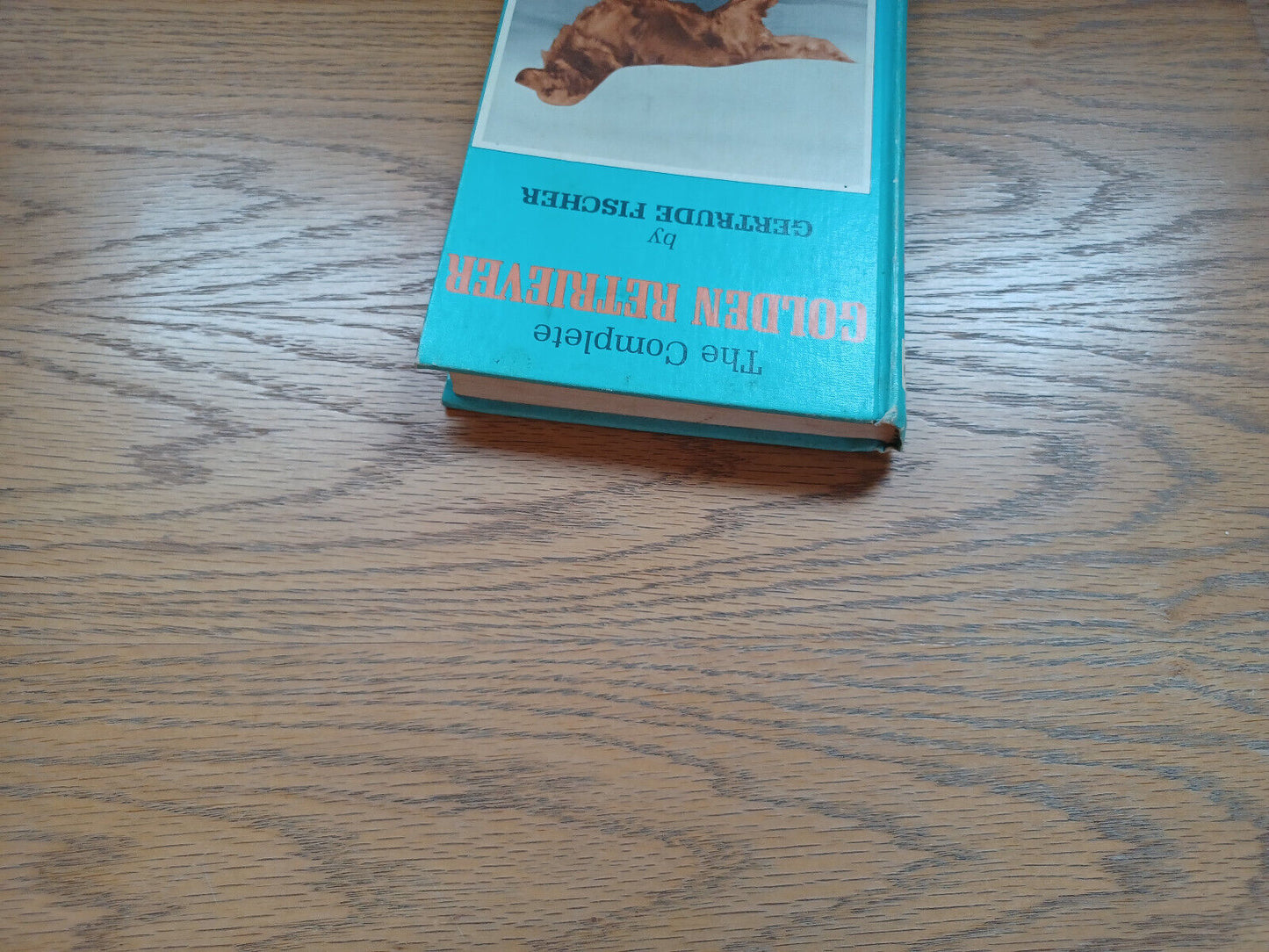 The Complete Golden Retriever By Gertrude Fischer 1974