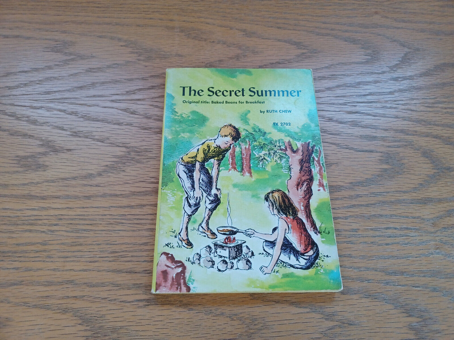 The Secret Summer By Ruth Chew 1974