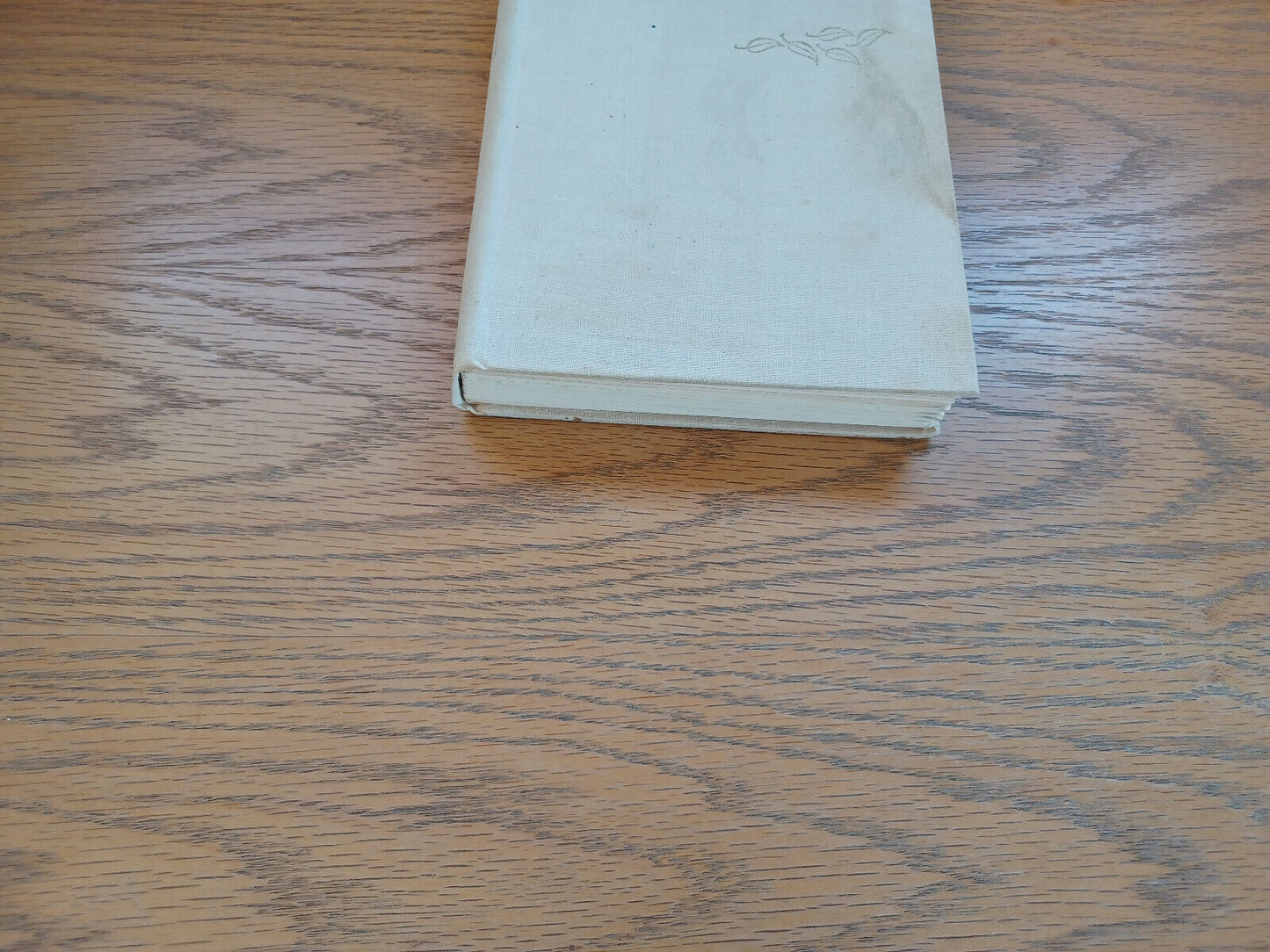 A Place In The Woods By Helen Hoover 1969