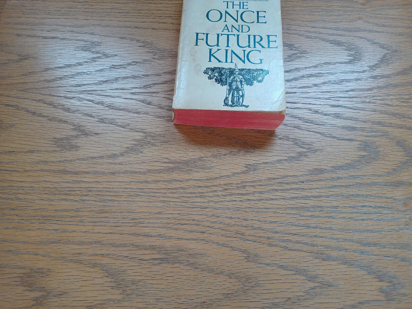 The Once And The Future King T H White 1966