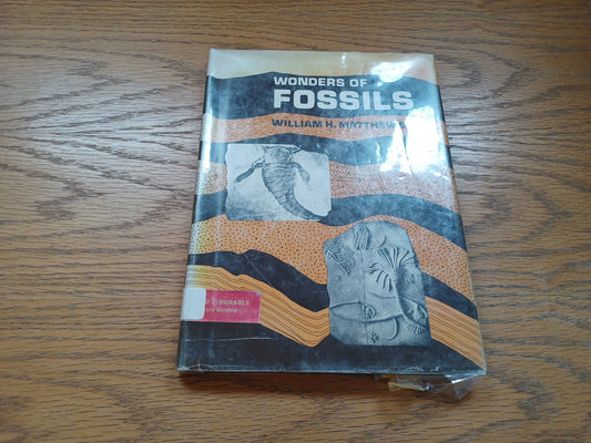 Wonders Of Fossils By William Matthew Iii 1968 Dust Jacket