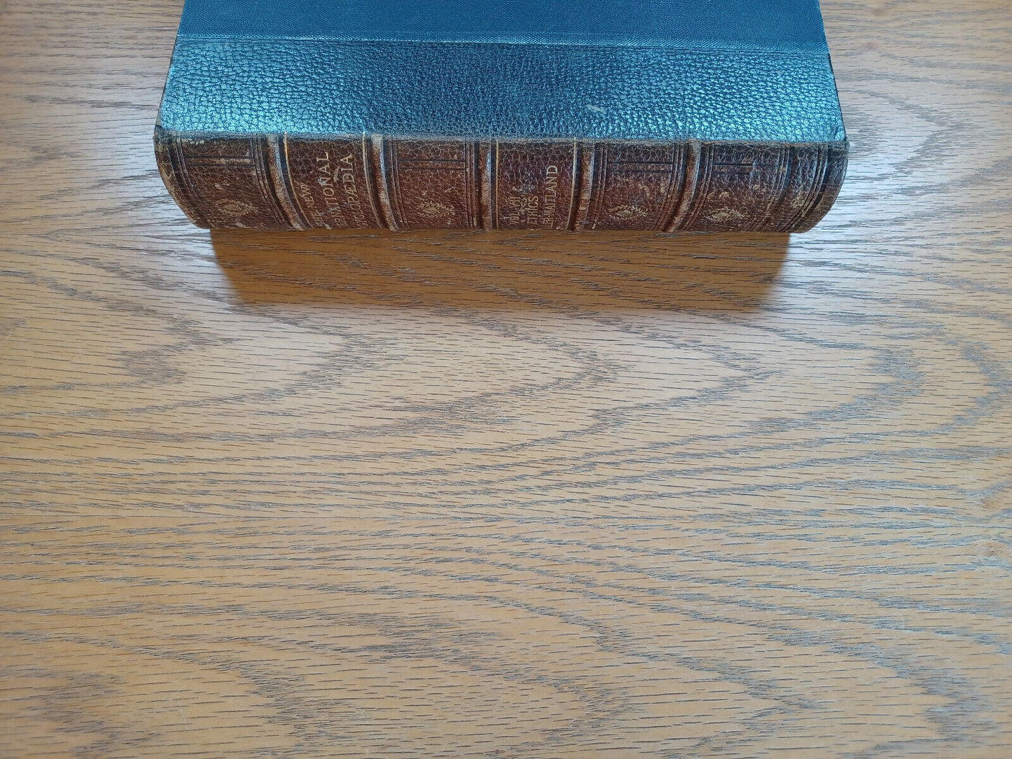 The New International Encyclopedia Volume Vii 1903 Daniel Coit Gilman