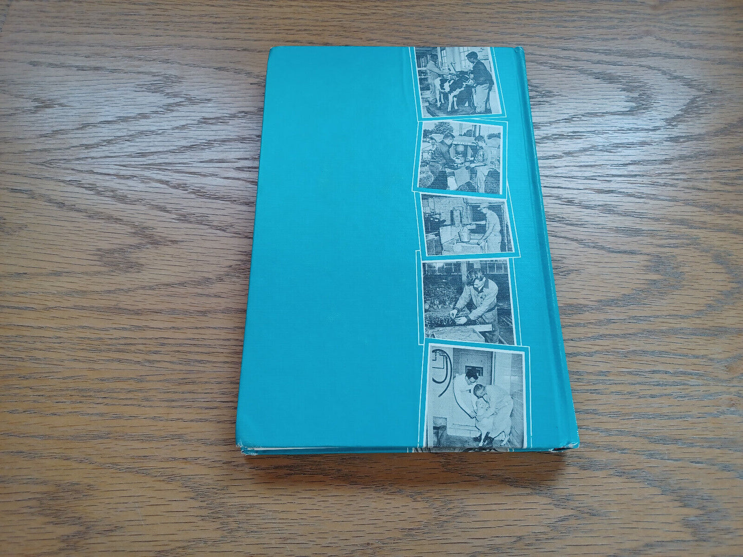 Handbook Of Agricultural Occupations By Norman Hoover 1964