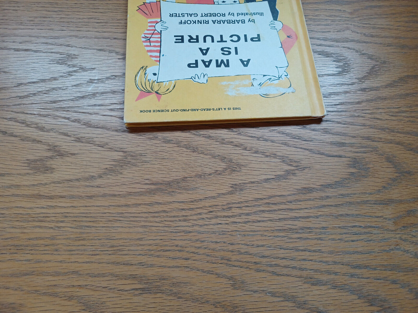 A Map Is A Picture By Barbara Rinkoff 1965