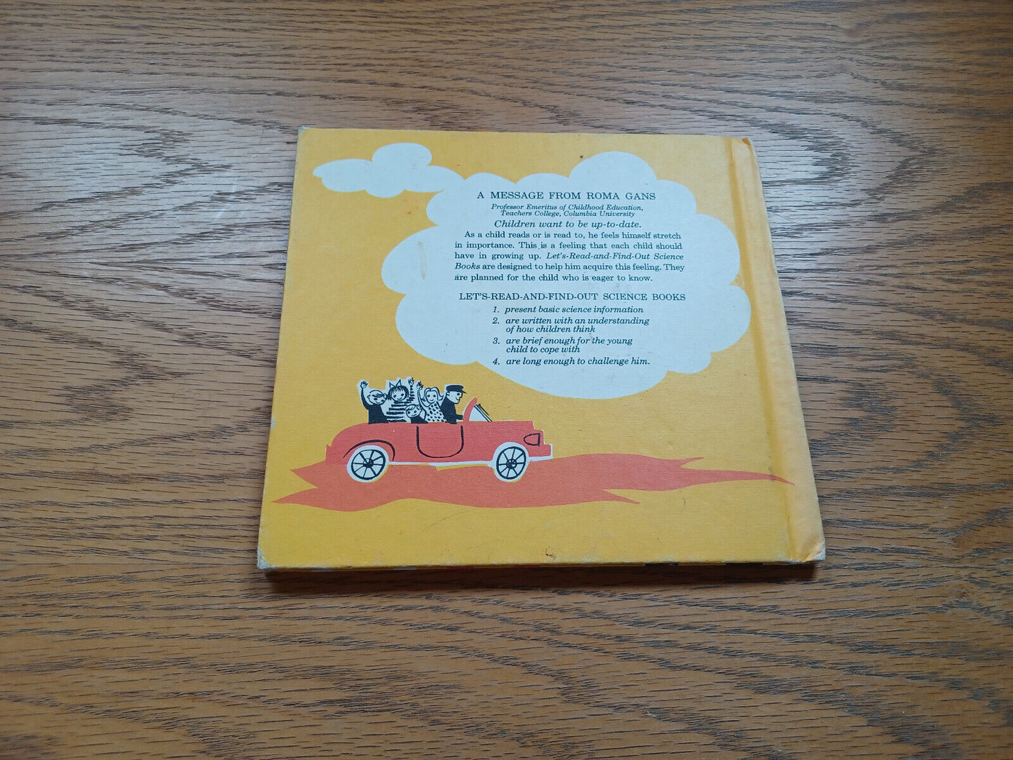 A Map Is A Picture By Barbara Rinkoff 1965