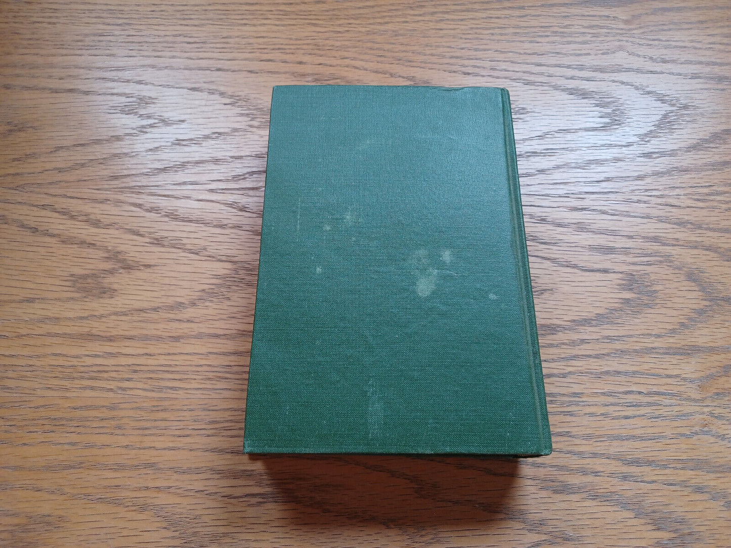 The Lovable Meddler By Leona Dalrymple 1915 Special Presentation Copy