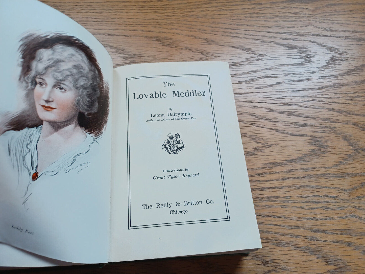 The Lovable Meddler By Leona Dalrymple 1915 Special Presentation Copy