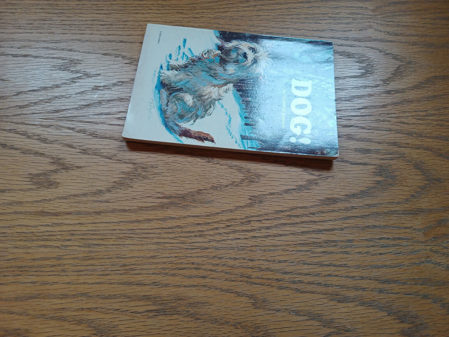 Dog By Prudence Andrew 1973