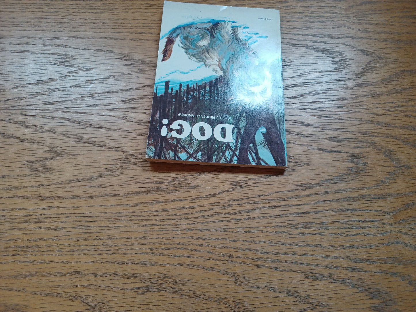 Dog By Prudence Andrew 1973
