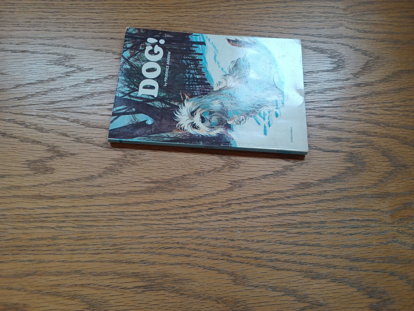 Dog By Prudence Andrew 1973