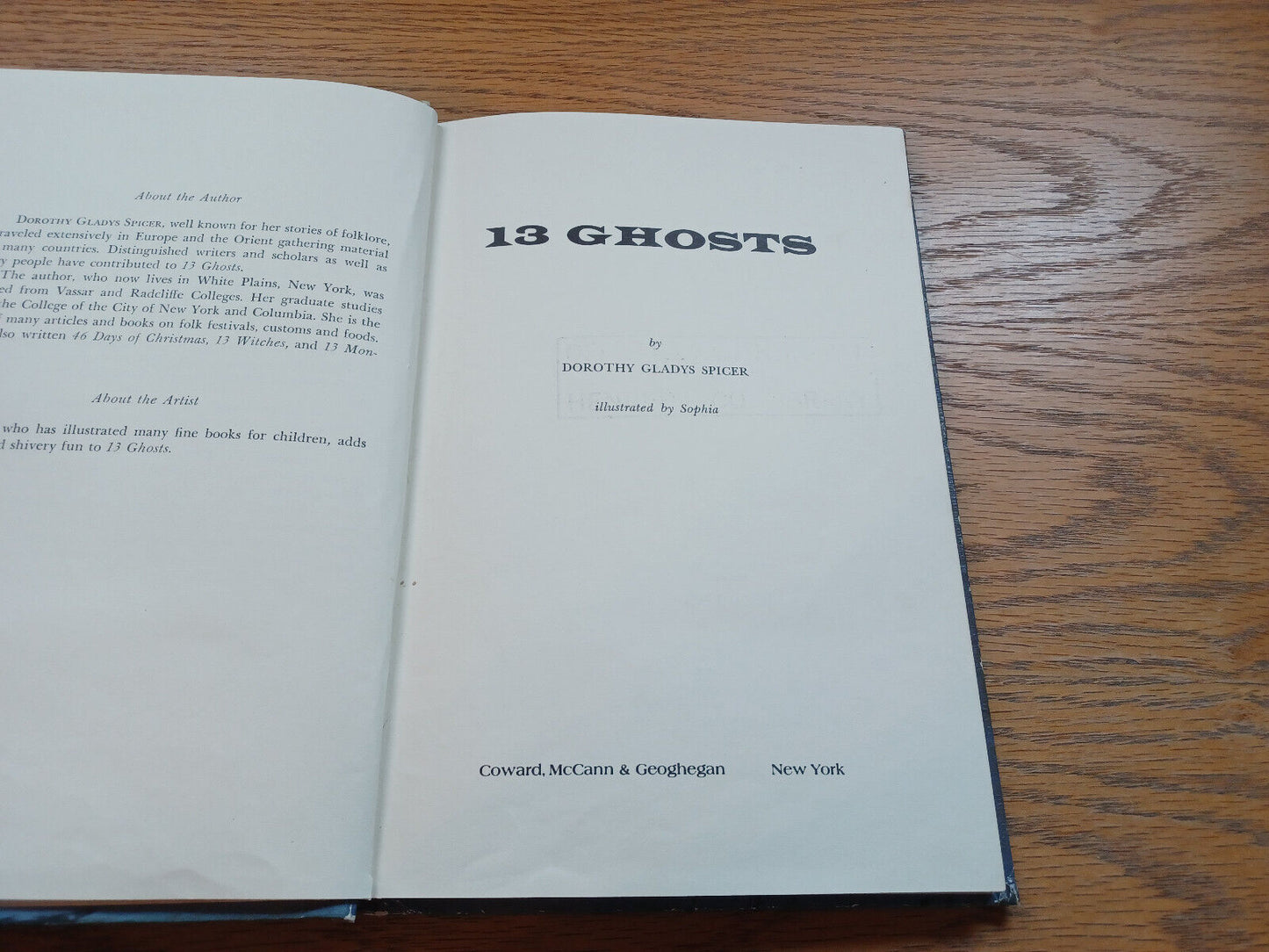 13 Ghosts By Dorothy Spicer 1965