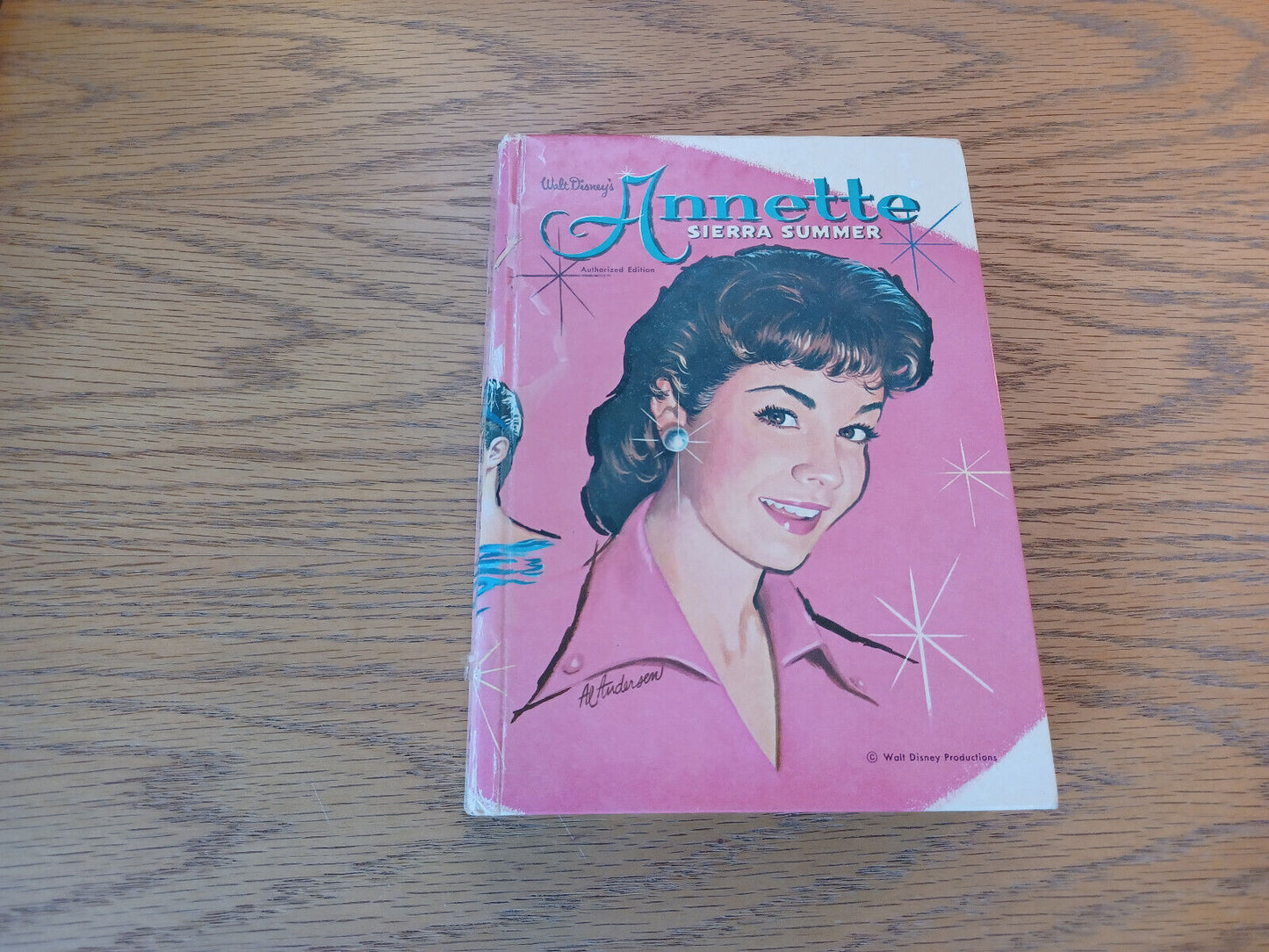 Annette Sierra Summer Doris Schroeder 1960 Hardcover Whitman