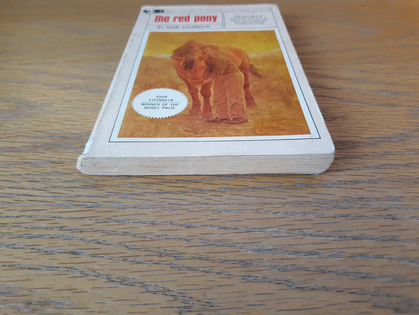 The Red Pony John Steinbeck 1966 Bantam Books Paperback