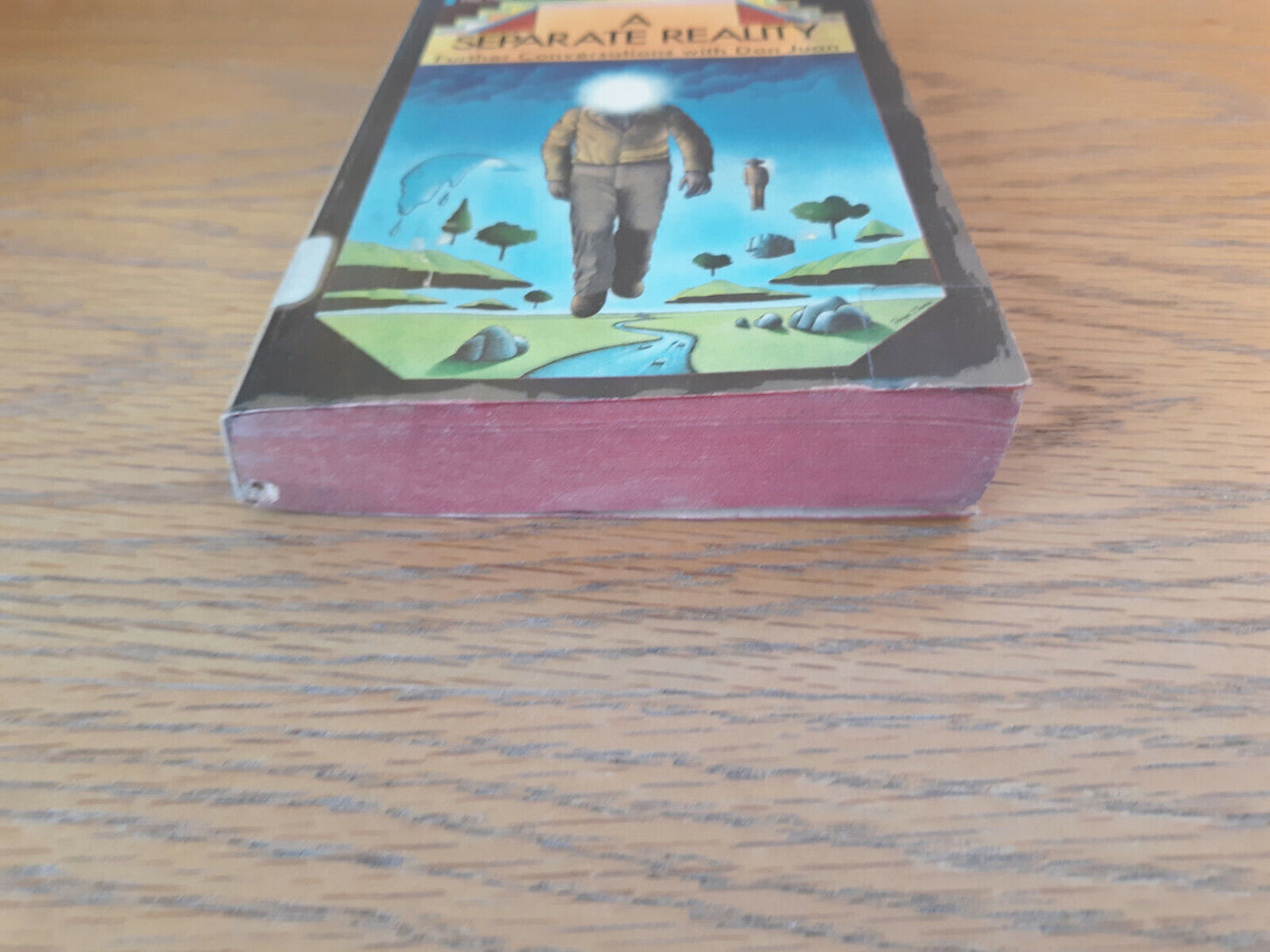 A Separate Reality Carlos Castaneda 1973 Pocket Books Paperback