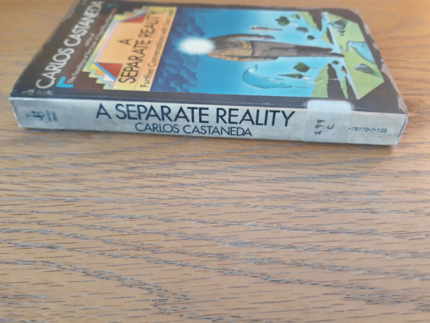 A Separate Reality Carlos Castaneda 1973 Pocket Books Paperback