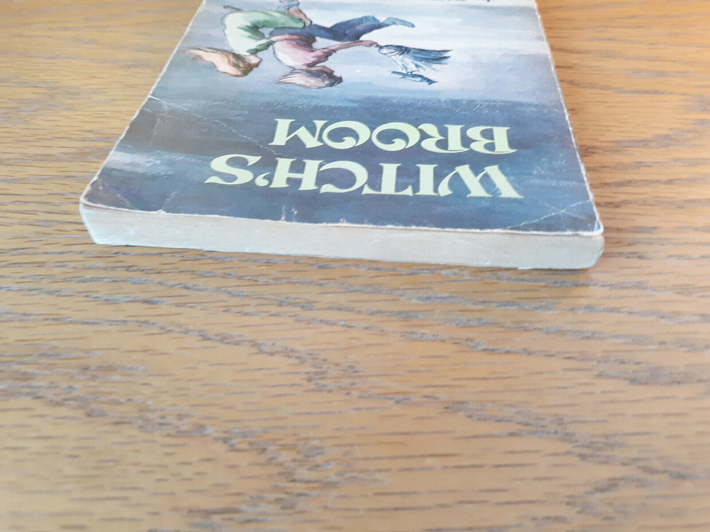 Witch's Broom Ruth Chew 1977 Paperback Scholastic