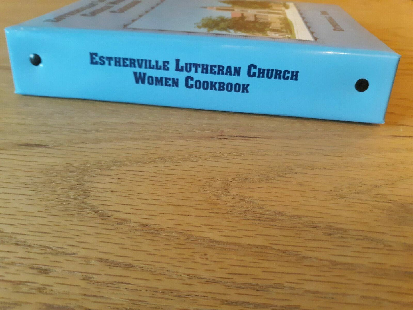 Estherville Lutheran Church Women Cookbook Iowa 1998