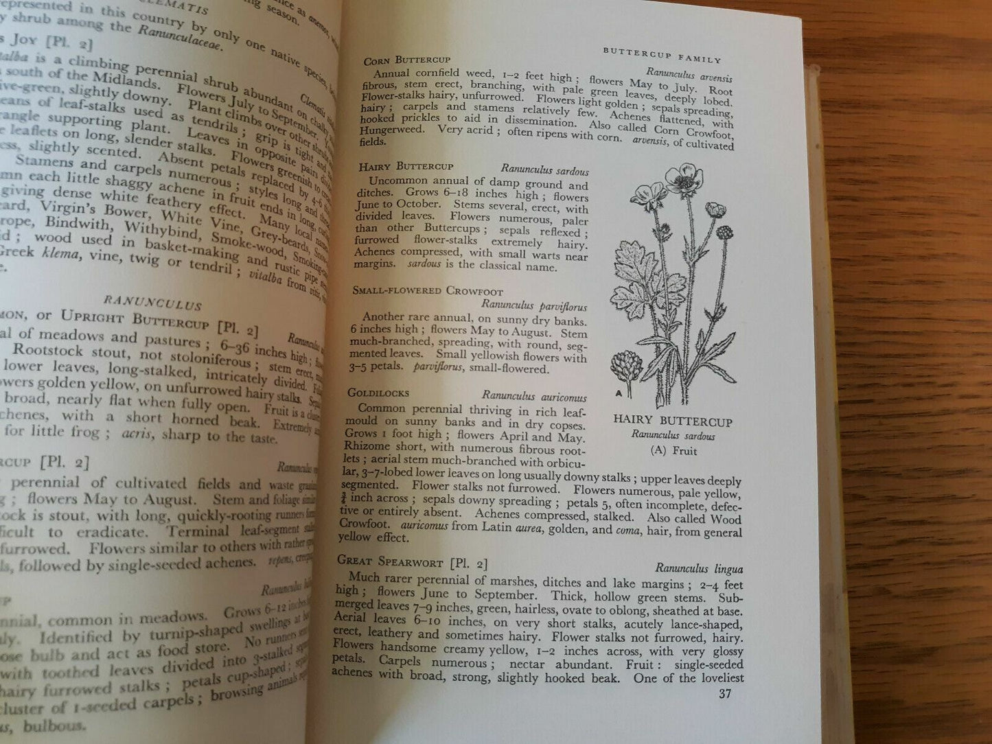 A Handbook Of British Flowering Plants 24 Color Plates 220 Line Diagrams 1959