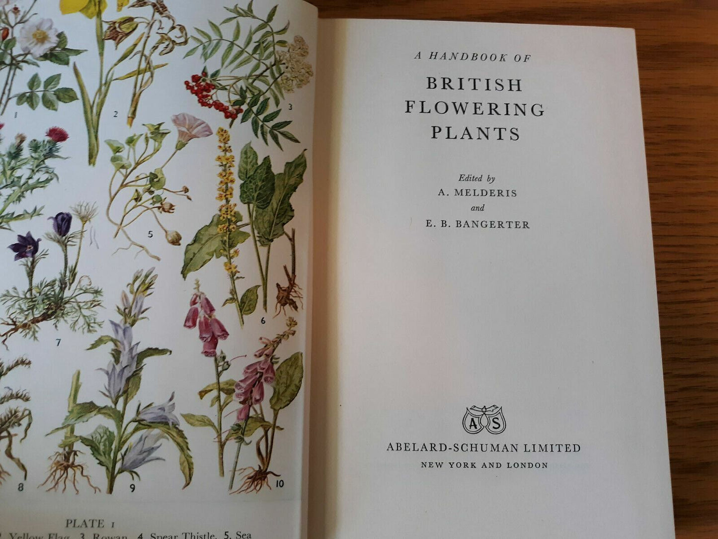A Handbook Of British Flowering Plants 24 Color Plates 220 Line Diagrams 1959