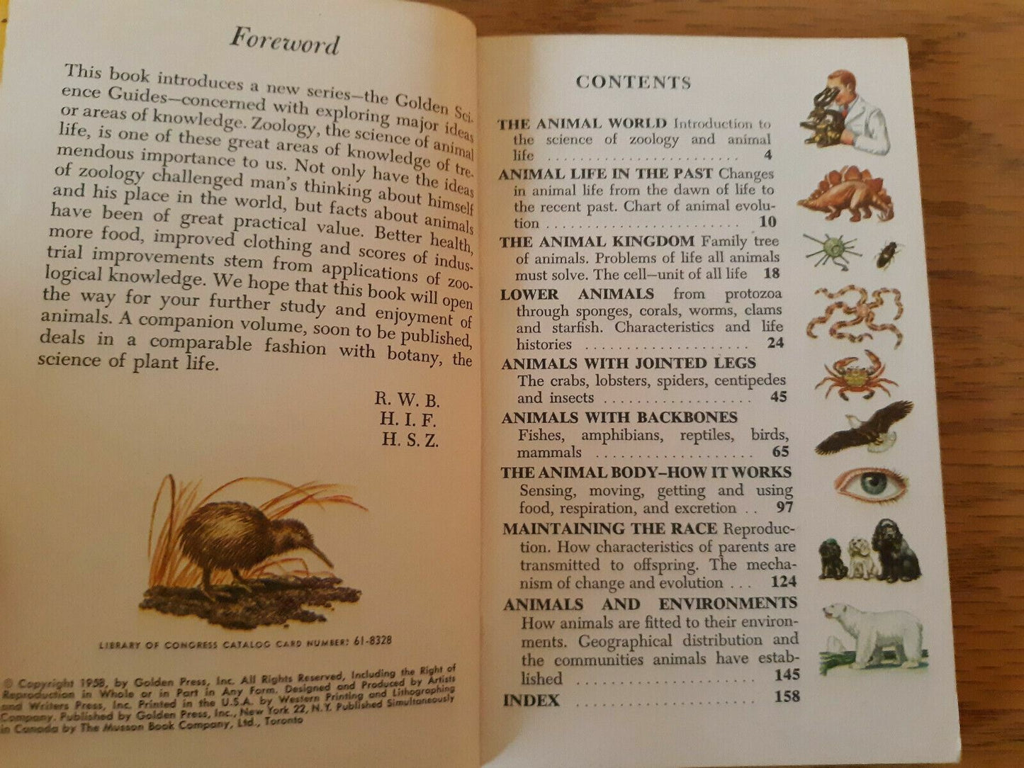 Zoology an Introduction to the Animal Kingdom a Golden Science Guide 1958