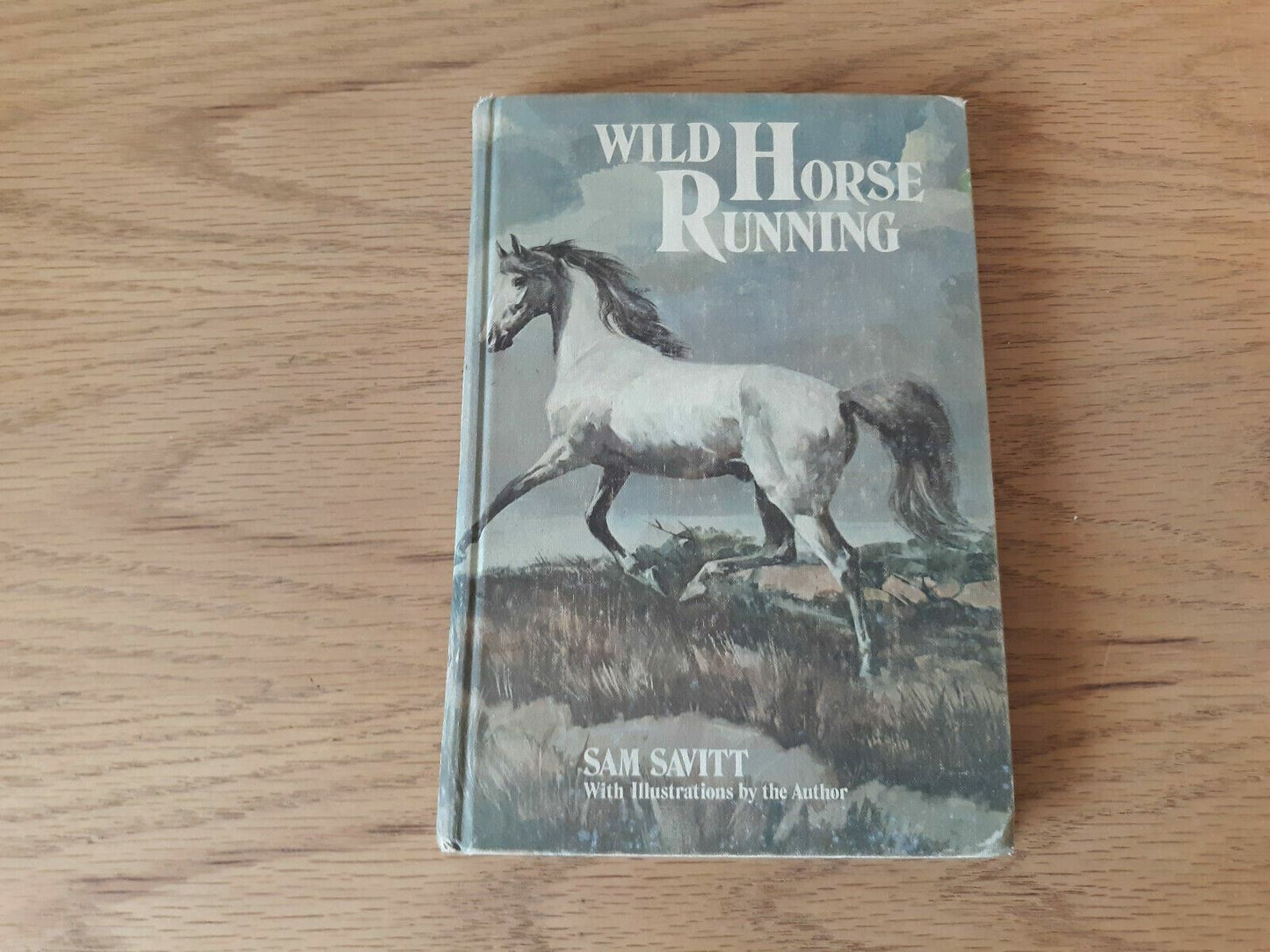 Wild Horse Running by Sam Savitt 1973