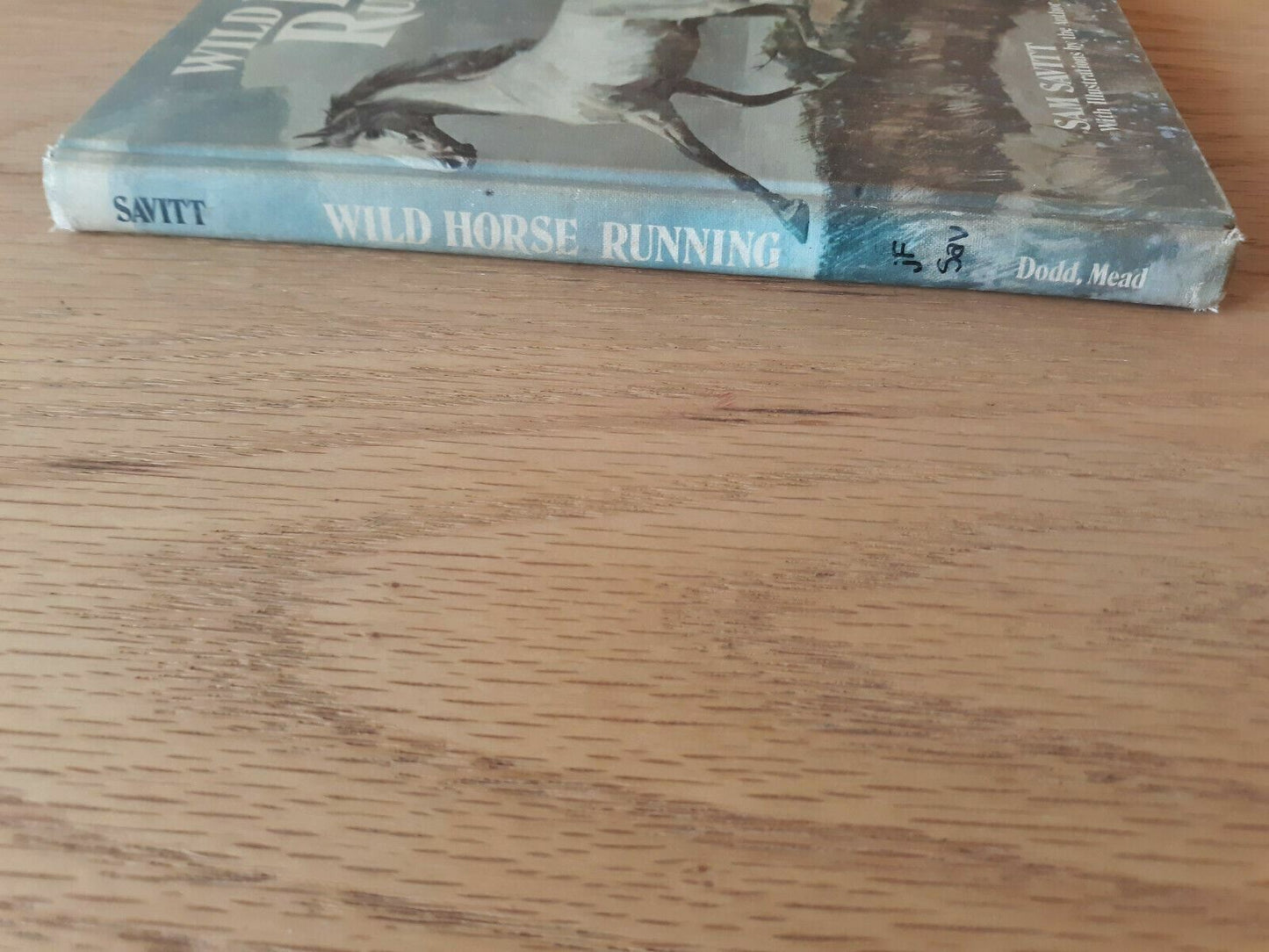 Wild Horse Running by Sam Savitt 1973