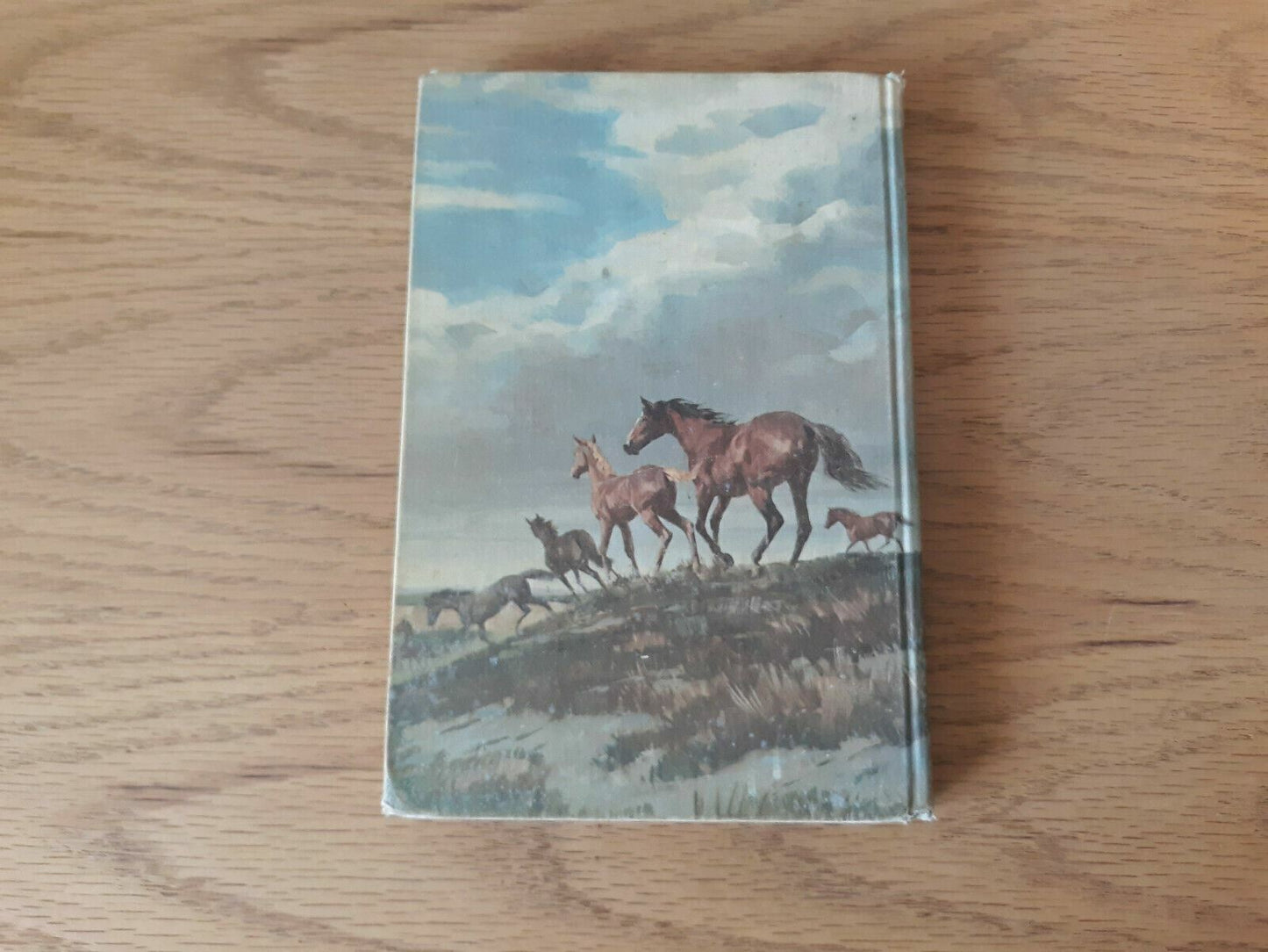 Wild Horse Running by Sam Savitt 1973