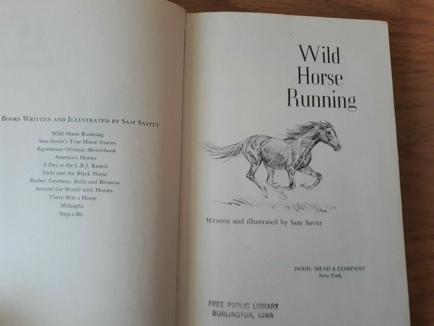 Wild Horse Running by Sam Savitt 1973