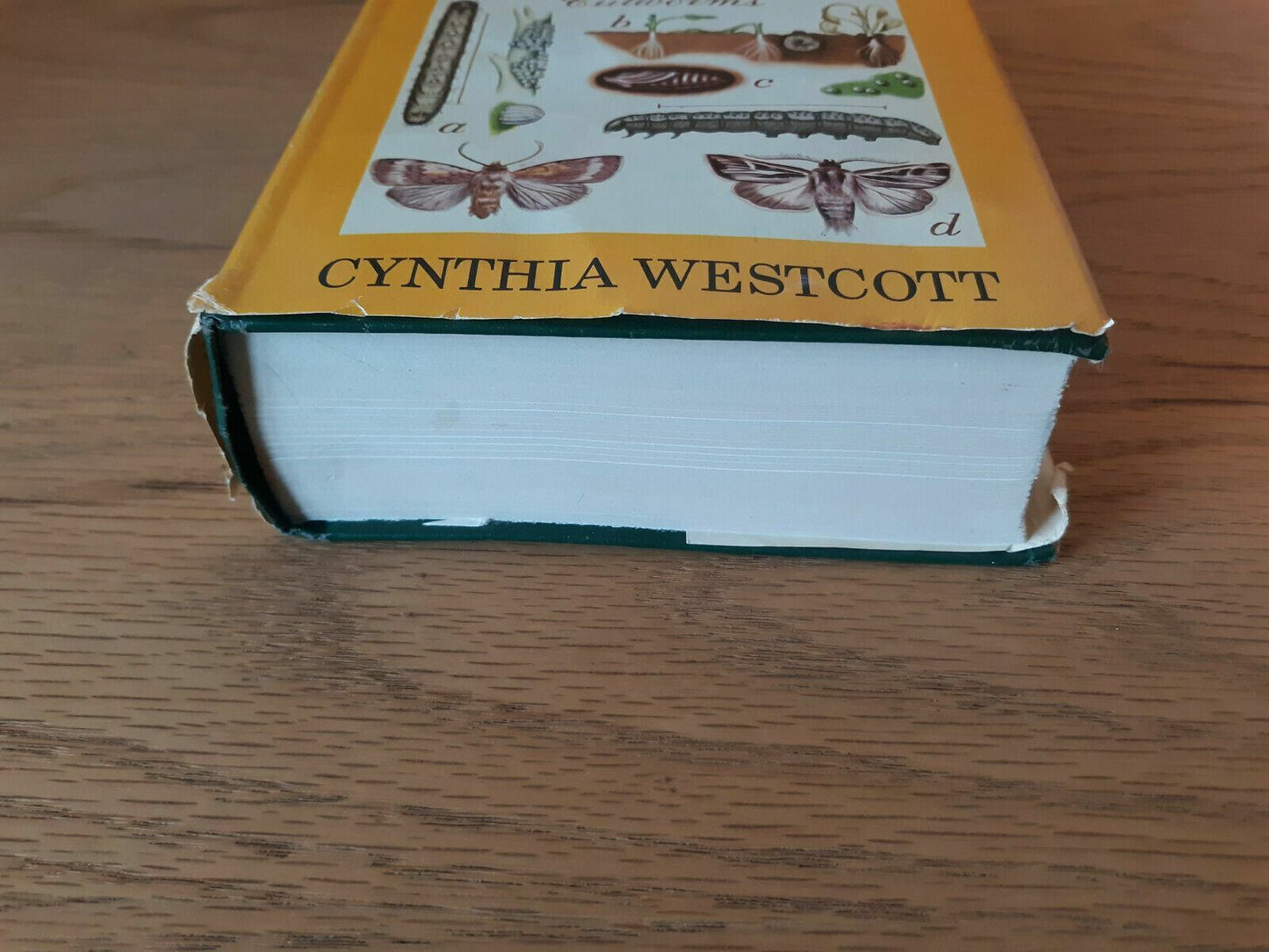 The Gardener's Bug Book by Cynthia Westcott 1973 Hardcover Fourth Edition BCE