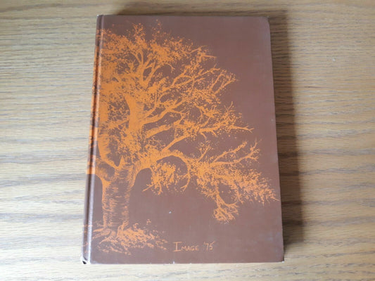 1975 Irondale High School yearbook New Brighton Minnesota