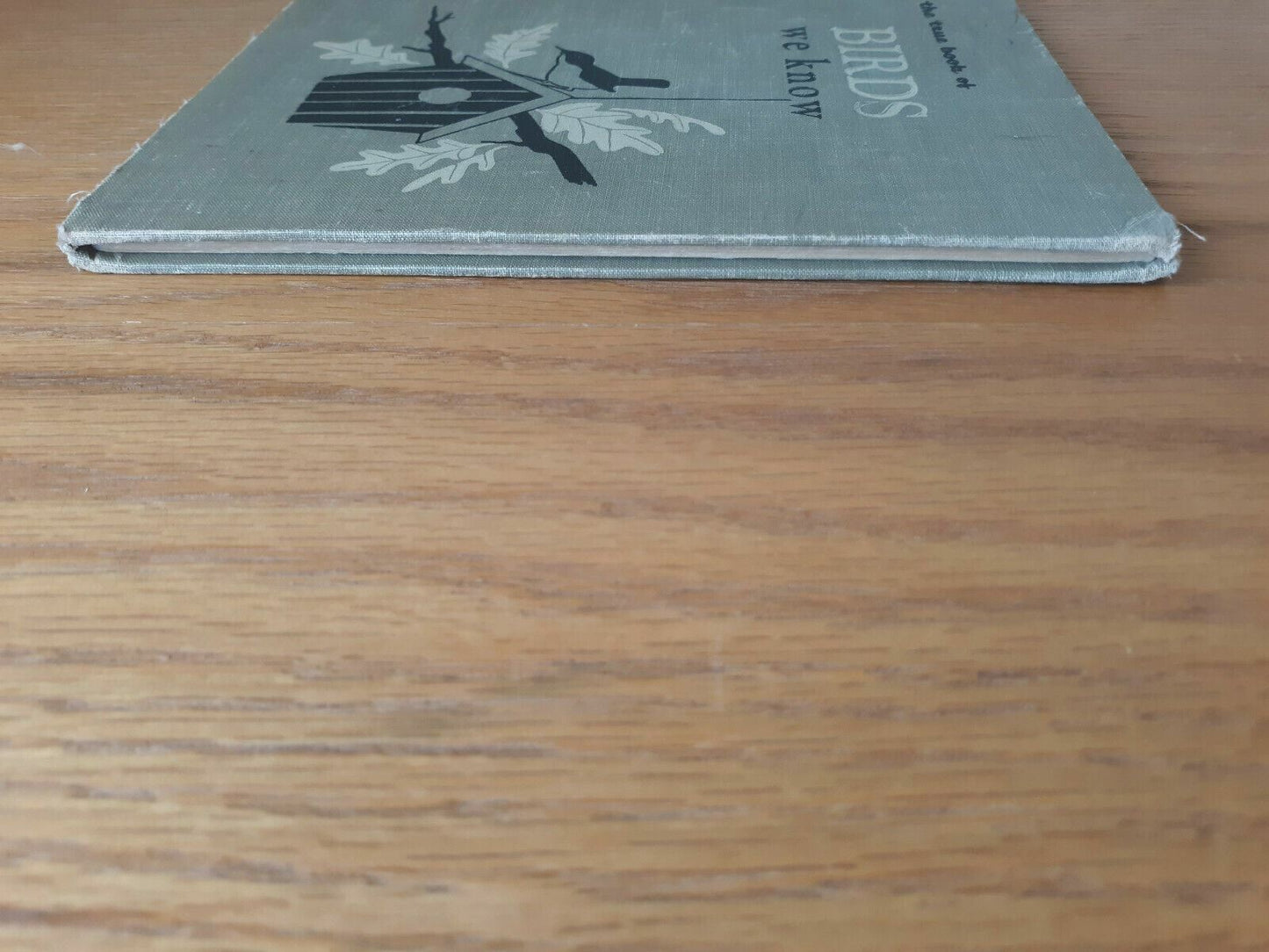 The True Book of Birds We Know - Margaret Friskey 1954