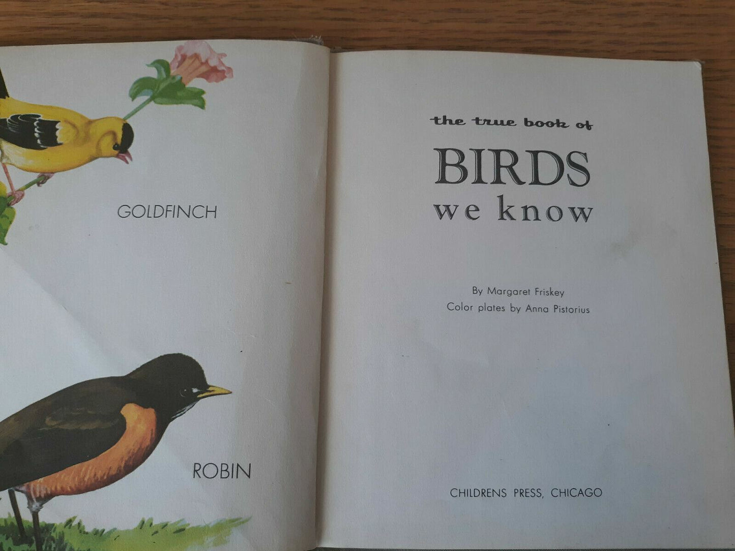 The True Book of Birds We Know - Margaret Friskey 1954