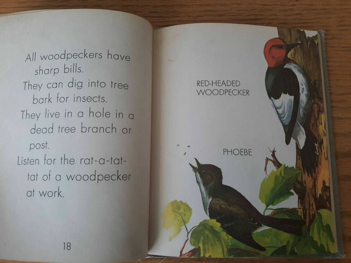 The True Book of Birds We Know - Margaret Friskey 1954