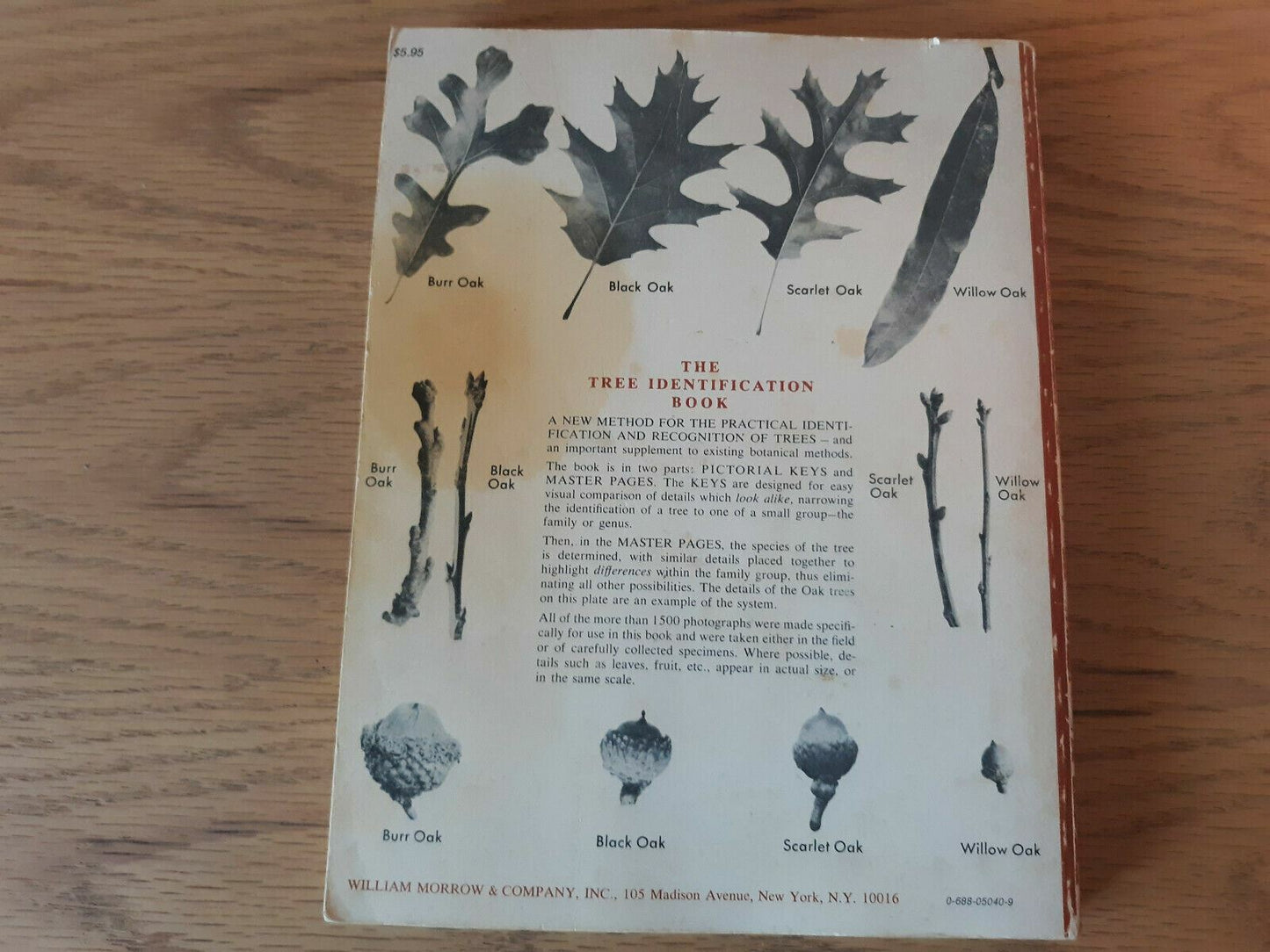 The Tree Identification Book by George Symonds 1958