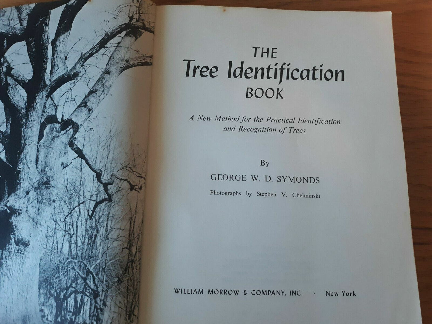 The Tree Identification Book by George Symonds 1958