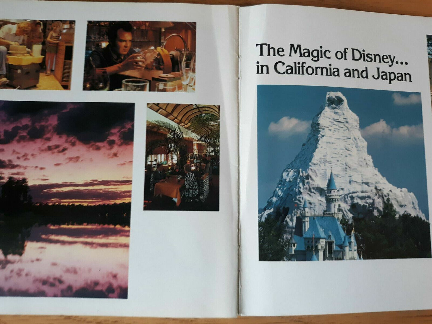 Vintage 1986 Walt Disney World A Pictorial Souvenir Book