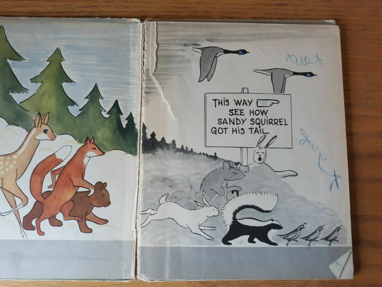 Vintage 1945 How Sandy Squirrel Got His Tail Whiteford