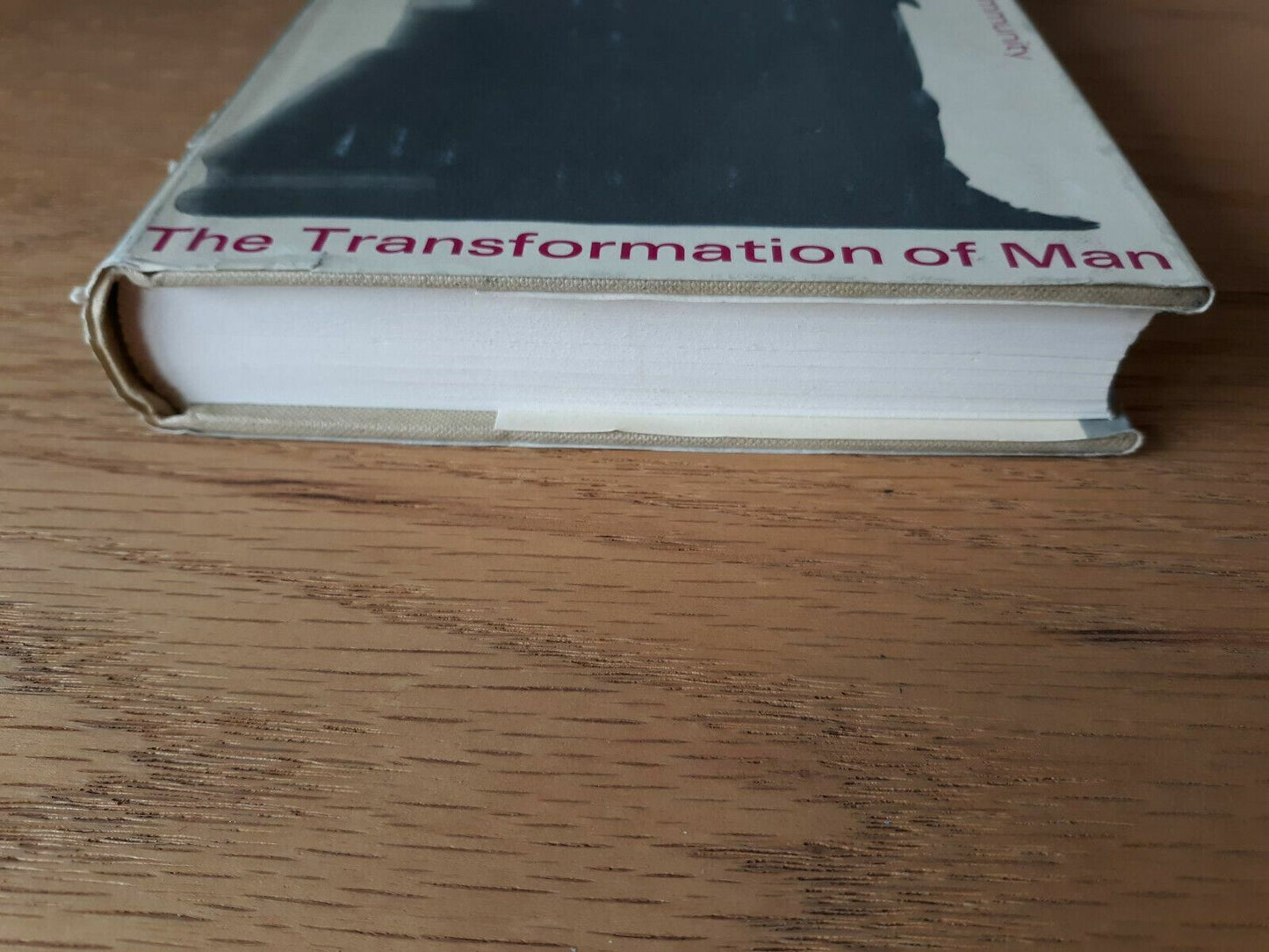 The Transformation of Man by Haughton, Rosemary 1967 1st Edition HC/DJ