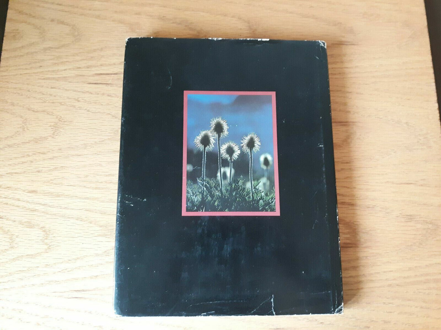 The Rockies by Andy Russell (1975, Hardcover) Signed DJ