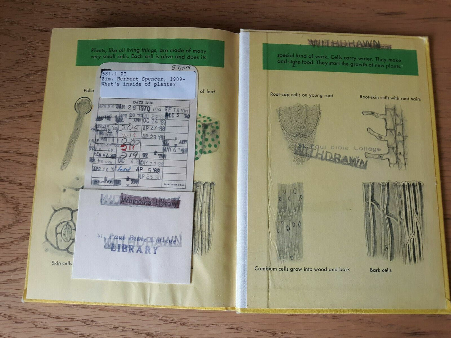 What's Inside of Plants? - Herbert S. Zim (1952, Hardcover)