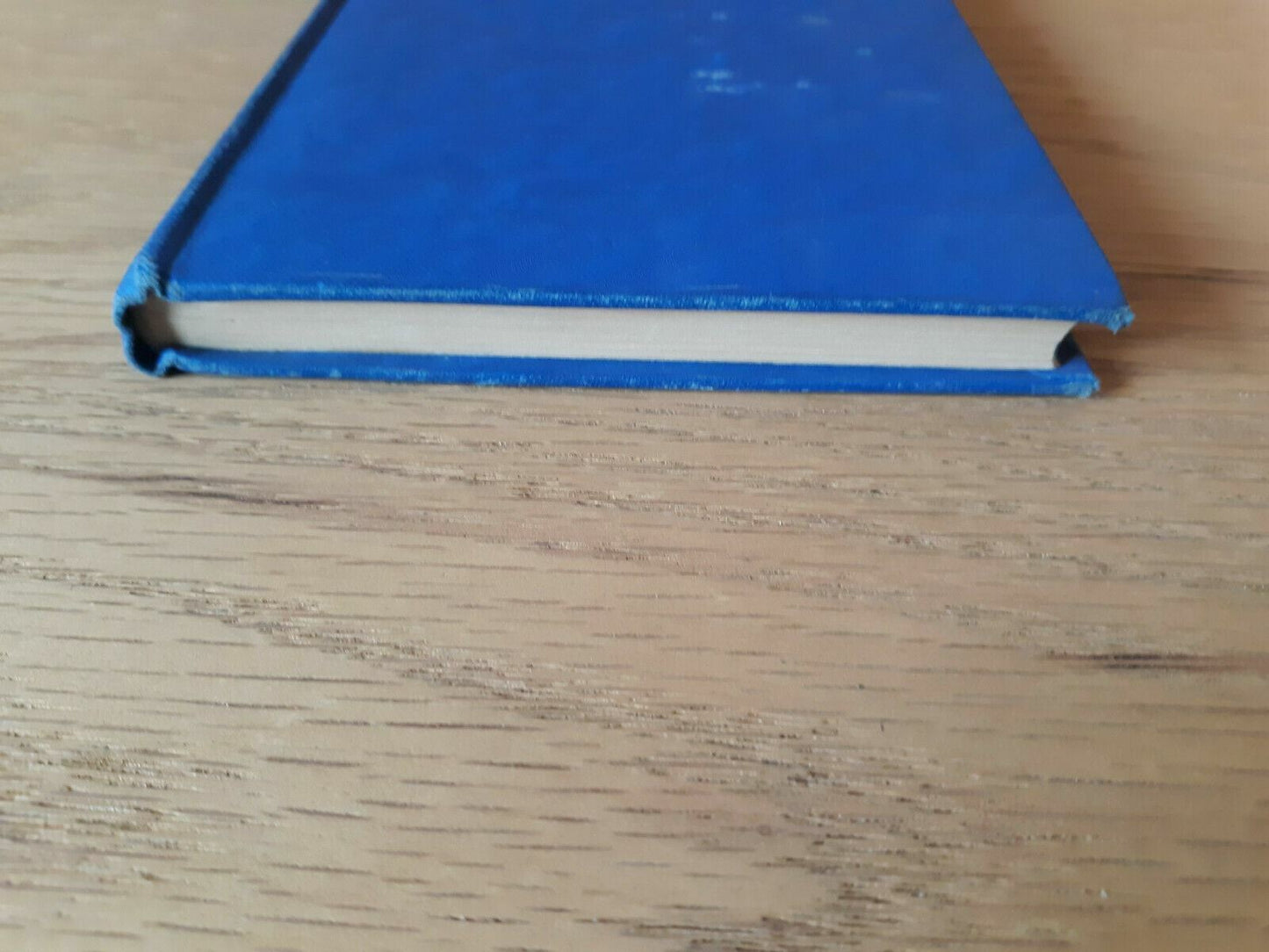 A Modern Flower of St.Francis Sister Francis De Sales Blessed Mother 1939