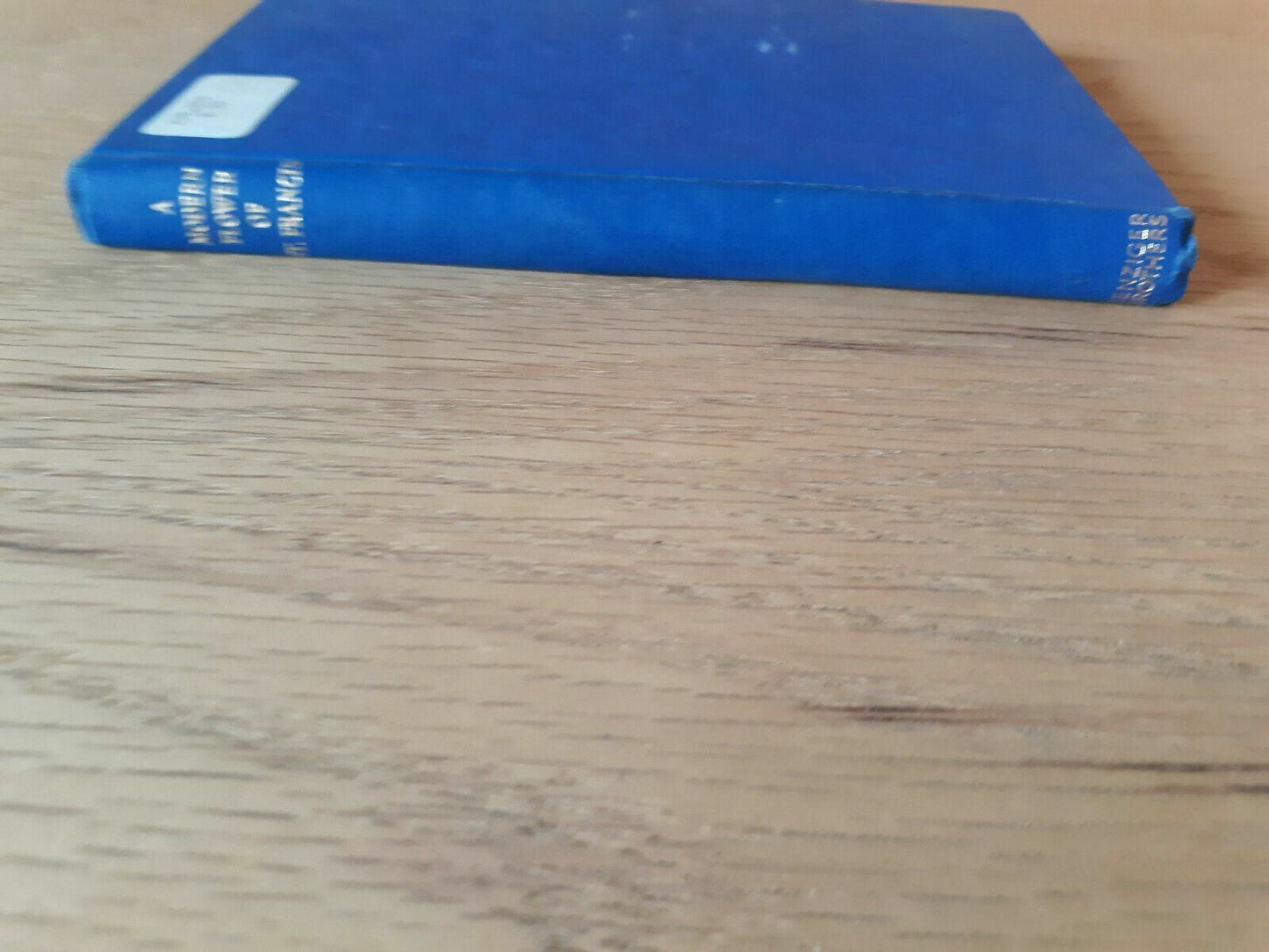 A Modern Flower of St.Francis Sister Francis De Sales Blessed Mother 1939