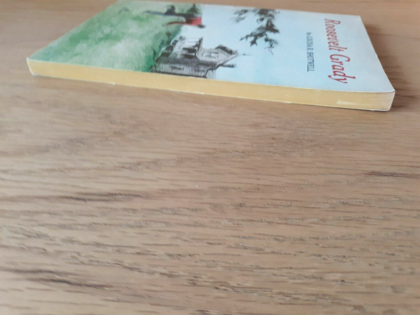 Roosevelt Grady by Louisa Shotwell Scholastic 1st Printing 1970