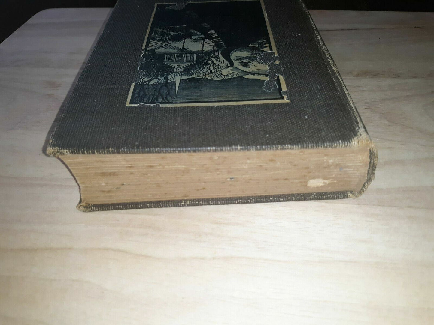 The Last Adam by James Gould Cozzens Stated 1st Edition 1933