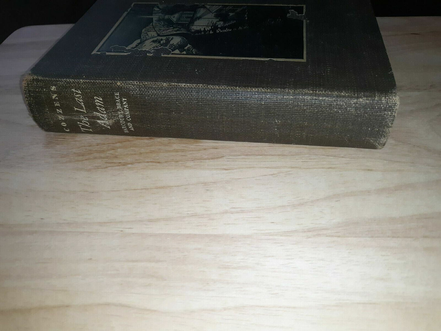 The Last Adam by James Gould Cozzens Stated 1st Edition 1933