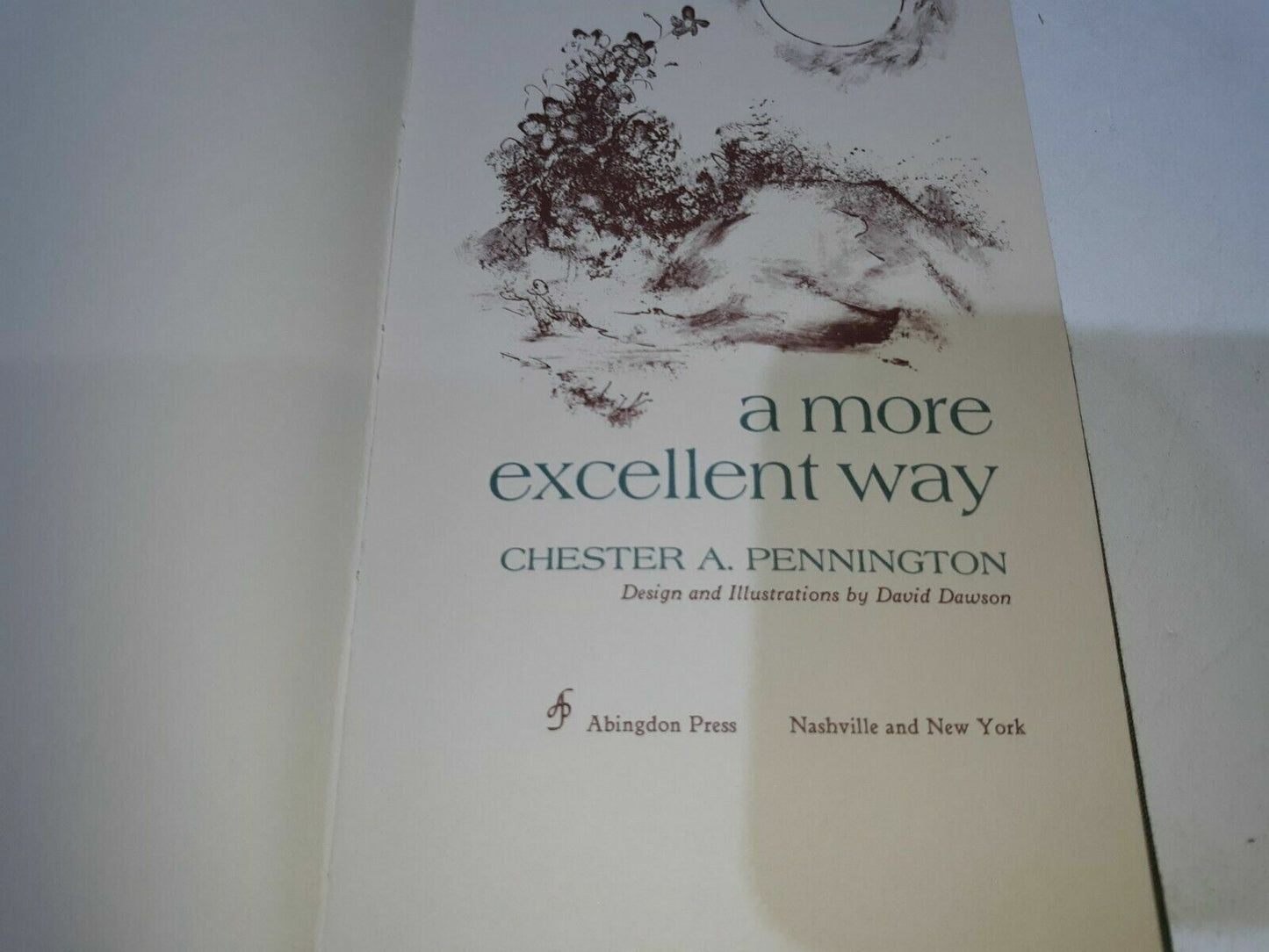 A More Excellent Way by Chester Pennington 1969 Hardcover