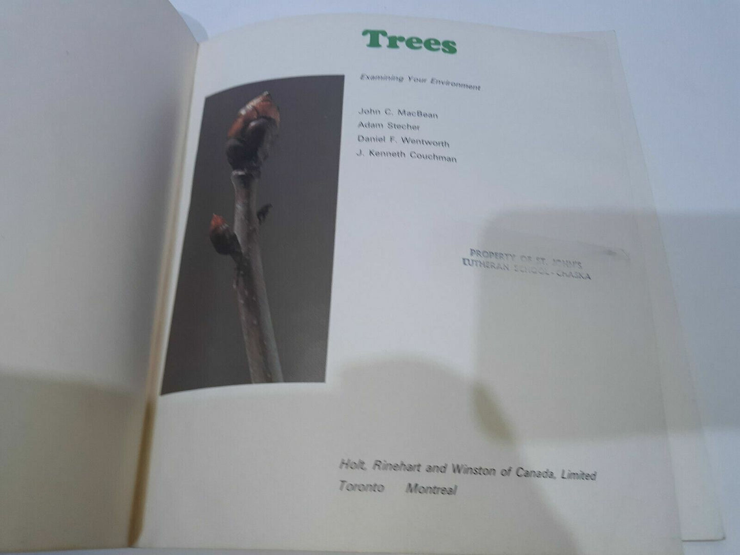 Trees (Examining your environment) Paperback Couchman 1972