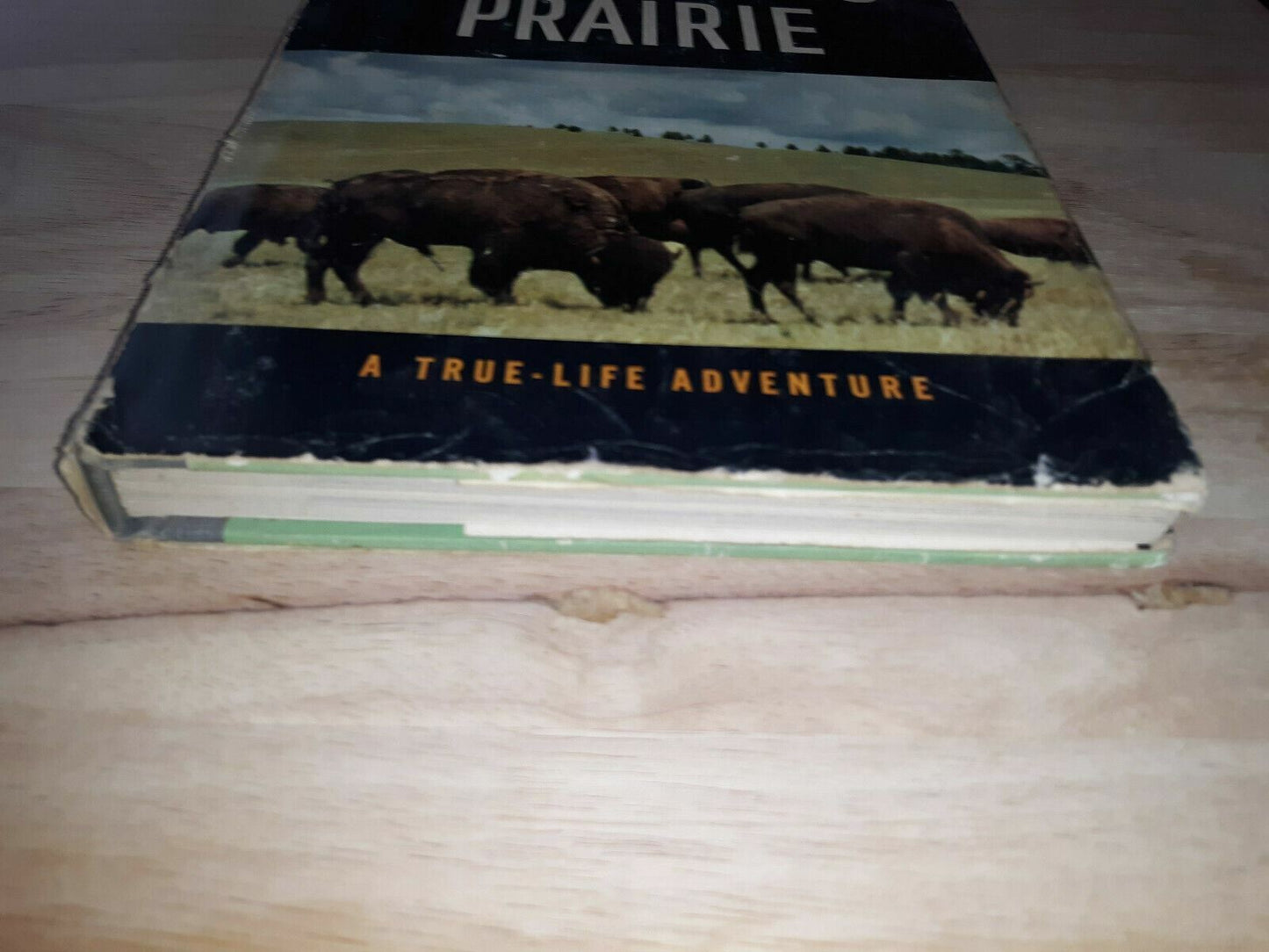 Vintage book WALT DISNEY "Vanishing Prairie A True Life Adventure" 1955