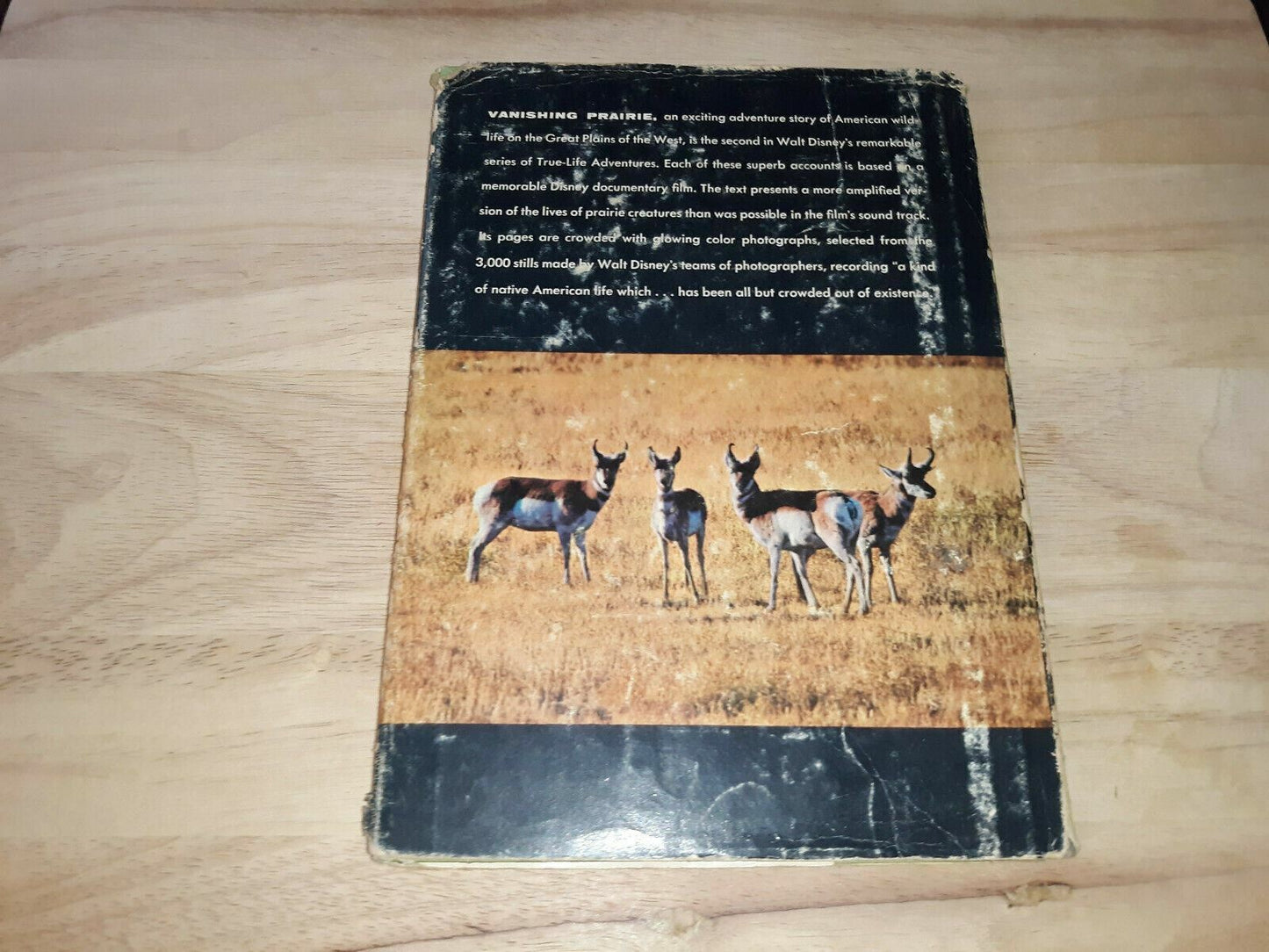 Vintage book WALT DISNEY "Vanishing Prairie A True Life Adventure" 1955