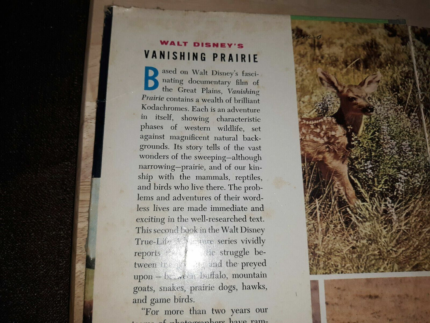 Vintage book WALT DISNEY "Vanishing Prairie A True Life Adventure" 1955